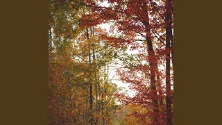 fall foliage