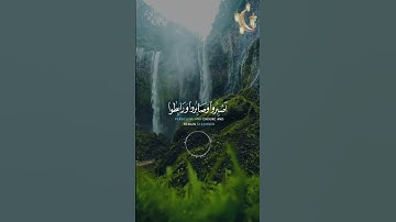 📖سورة آل عمران 🎙️ياسر الدوسري