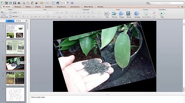 Introduction to Biochar