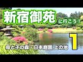 母と子の森・日本庭園【新宿御苑に行こう1】 の動画、YouTube動画。