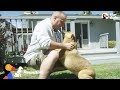 Dog Reunited with Military Dad After 2 Years Overseas | The Dodo Reunited
