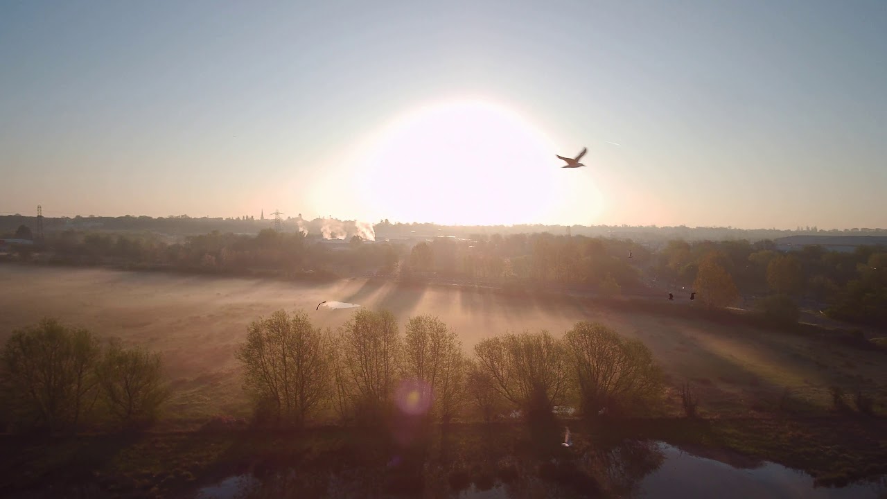 Water meadow, Reading. Berkshire