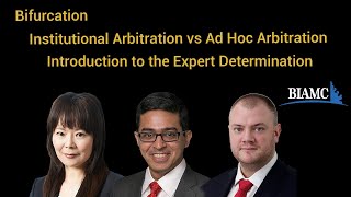 Bifurcation, Institutional Arbitration vs Ad Hoc Arbitration, Introduction to Expert Determination