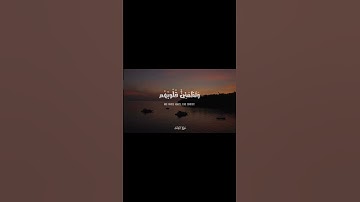 الشيخ #محمد_المنشاوي ﴿الذين آمنوا وتطمئن قلوبهم بذكر الله ألا بذكر الله تطمئن القلوب﴾ سورة الرعد