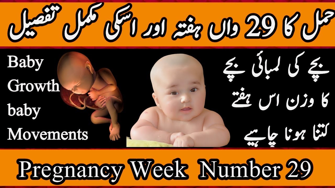 29-week-pregnant-29th-week-of-pregnancy-hamal-ka-29-week-youtube