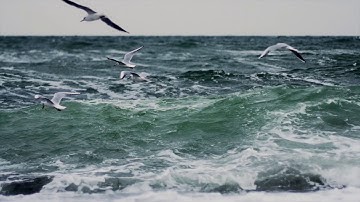 Northern Dimension Environmental Partnership: Nuclear remediation of Andreeva Bay (EBRD)