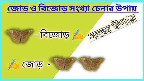 জোড় ও বিজোড় সংখ্যা।। Odd and even numbers ।।