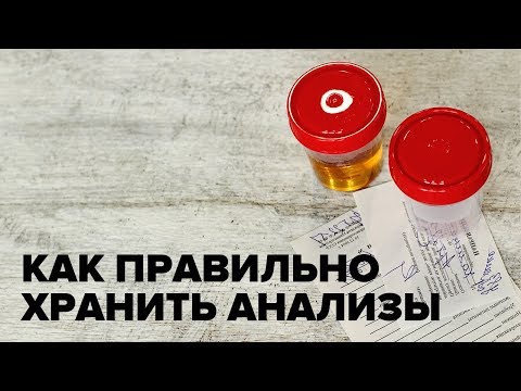 Сколько и как хранить анализы кала и мочи в холодильнике