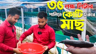 ৩৫ লক্ষ লিটার পানিতে বায়োফ্লক পদ্ধতিতে মাছ চাষ | Biofloc Fish Farming In Bangladesh - Safollo Kotha