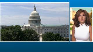 Man arrested with gun at US Capitol Building