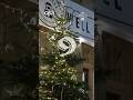 GB News Advent Calendar - Monday December 9