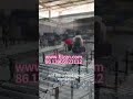 Liangzo Conveyor manufacturer86 13905923112#conveyor#rollerconveyor #skatewheelconveyor#beltconveyor