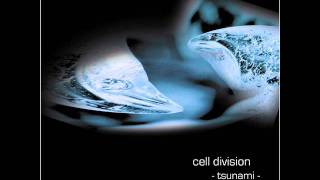 Cell Division - Farewell