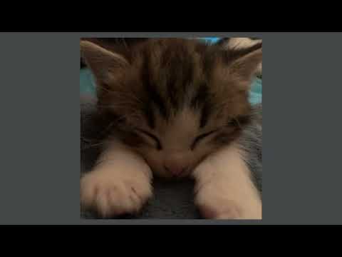 dakooka - умри, если меня не любишь (speed up)