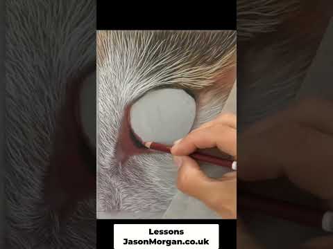 Pastel Cat's Eye Drawing: Watch This Eye Come to Life!