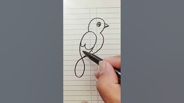 How to Draw Bird  #art #artcontent #shorts