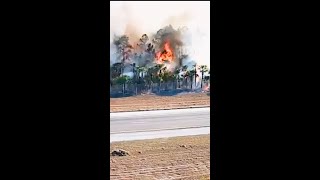 Fire Rages  On Edge Of I-75