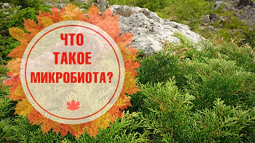Растения для сада 🌟 МИКРОБИОТА 🌟 Особенности выращивания