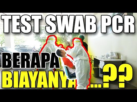 Video: Berapa Biayanya