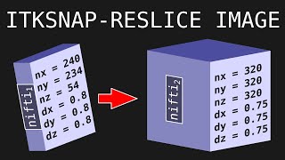 Tutorial - Reslice nifti files to the same dimension and resolution