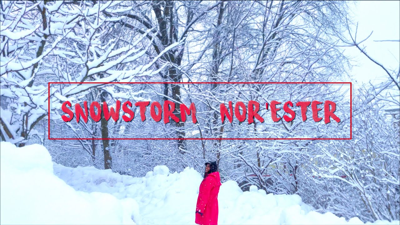 Snowstorm Nor'easter 2021 | Cinematic vlog | TRIPYEMOTIONS