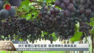 豐丘村提升葡萄品質農友投入溫室種植2021-07-26 IPCF-TITV ... 