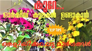 Orchid care in Malayalam - Top Proven Tips to Fully Bloom Orchid - ഓർക്കിഡ് പരിപാലനം