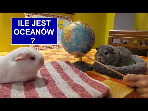 Ile to jest oceanów?