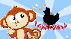 شو هذا الصوت اصوات الحيوانات | اغنية اطفال كتاكيت بيبي 2024