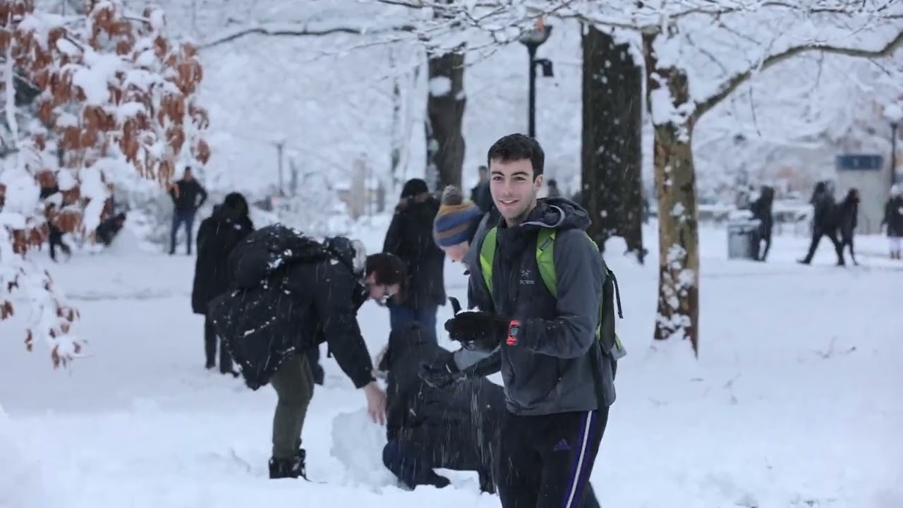 Hundreds of people gathered at University of Michigan Diag for a snowball fight