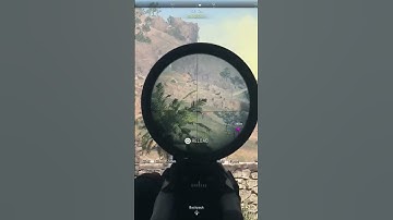 snipe double kill. #subscribe #shorts #viral #fyp