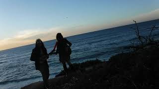 Common Link Performs Carol Of The Bells