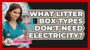 What Litter Box Types Don