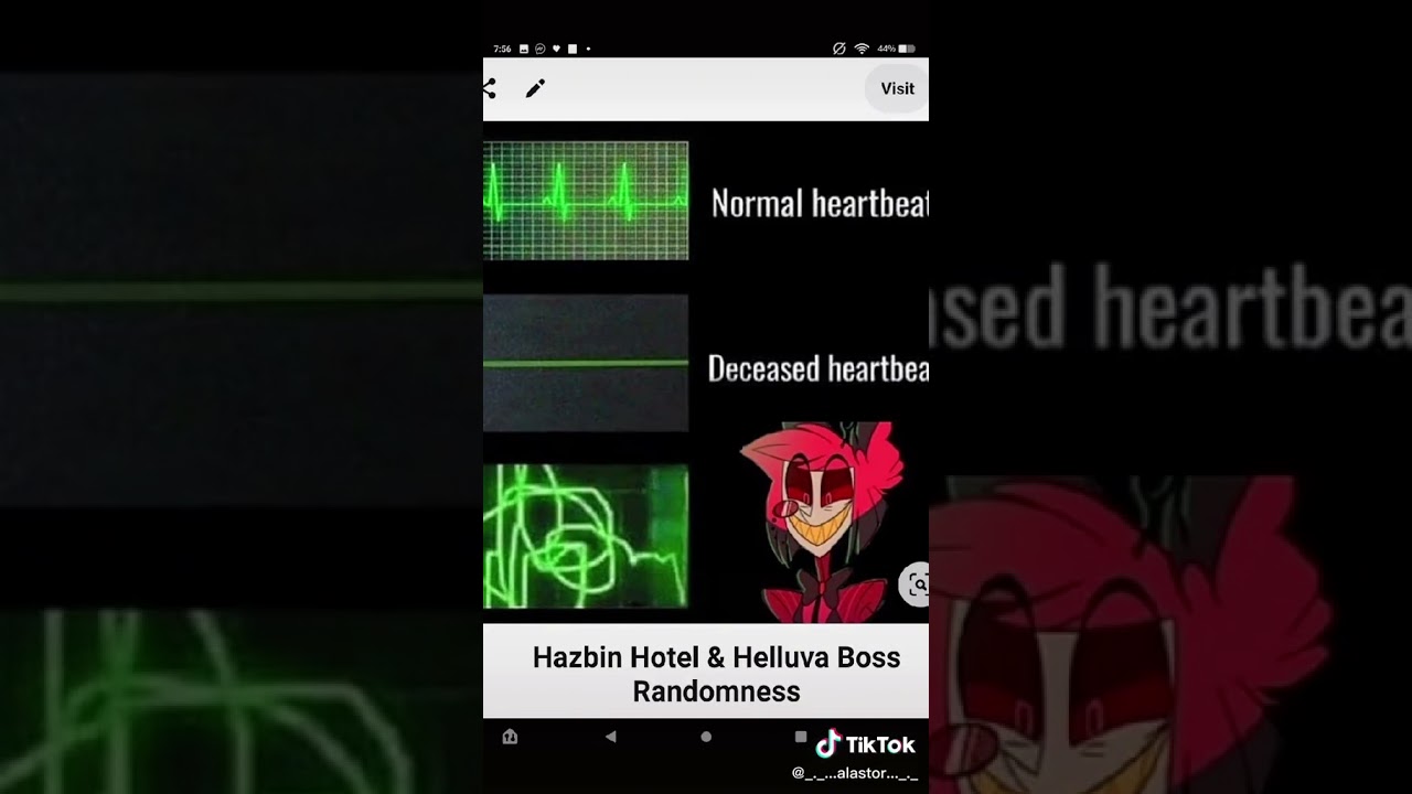 Hazbin Hotel memes because why not :)
