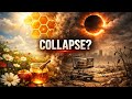 What happens to humans if Bees go extinct?