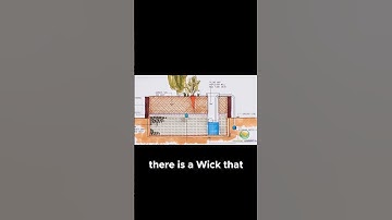 Wick Systems  The Easiest Hydroponic Setup for Beginners!