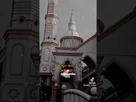 حضور ایسا کوئی انتظام ہو جاے