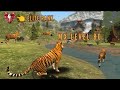 The tiger  mx level 80 elite rank map northern taiga 