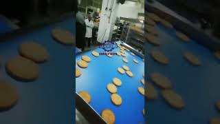 THE BISCUITS AND COOKIES FACTORY IN CHINA