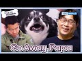 Go Away, Papa [Dogs are incredible : EP.205-1] | KBS WORLD TV 240206