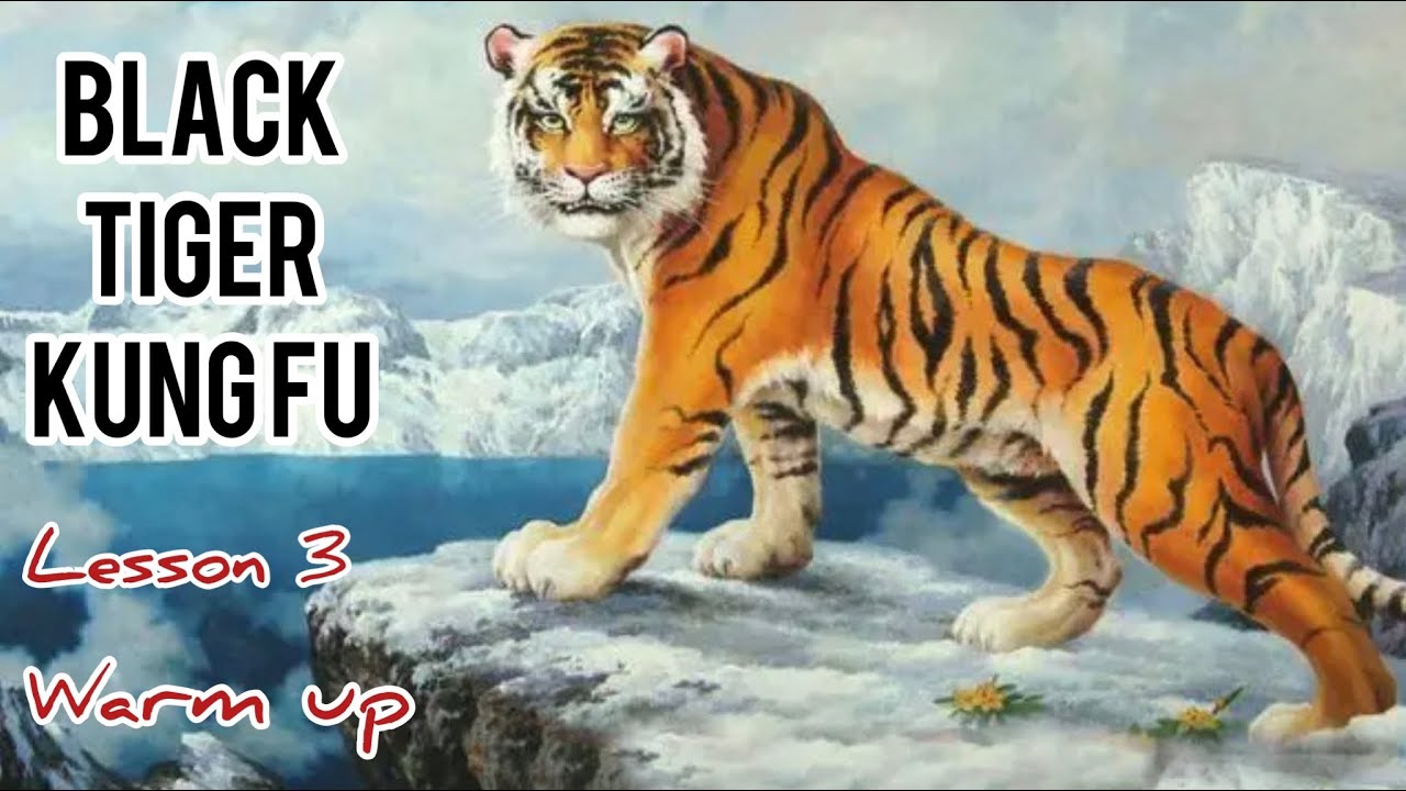 black tiger Kung fu for beginners lesson 3 / warm