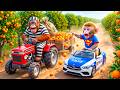 Monkey Farmer Drives Tractor to Harvest Oranges &amp; Catches Thief Orangutan in CHAOTIC Farm!