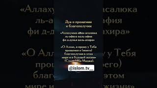 -Посланник Аллаха (мир ему и благословение Аллаха) сказал: «Указавшему на благое (полагается)