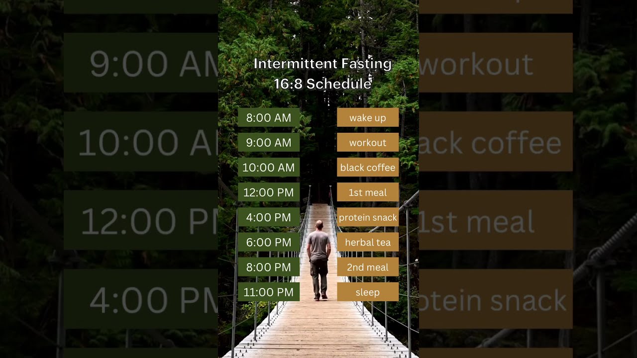 This Intermittent Fasting 16 8 Schedule Is A Perfect Eating Timeline For Beginners 