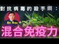 (中文字幕EngSub) 為何建立混合免疫能力才是對抗疫症的王道how hybrid immunity beats every single variant of novel coronavirus