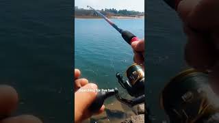 Newport Beach fishing