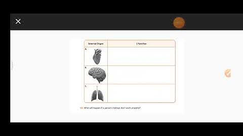 CLASS 3 ENVIRONMENTAL SCIENCE, BLOCK 6.2   FUNCTIONS OF  ORGANS
