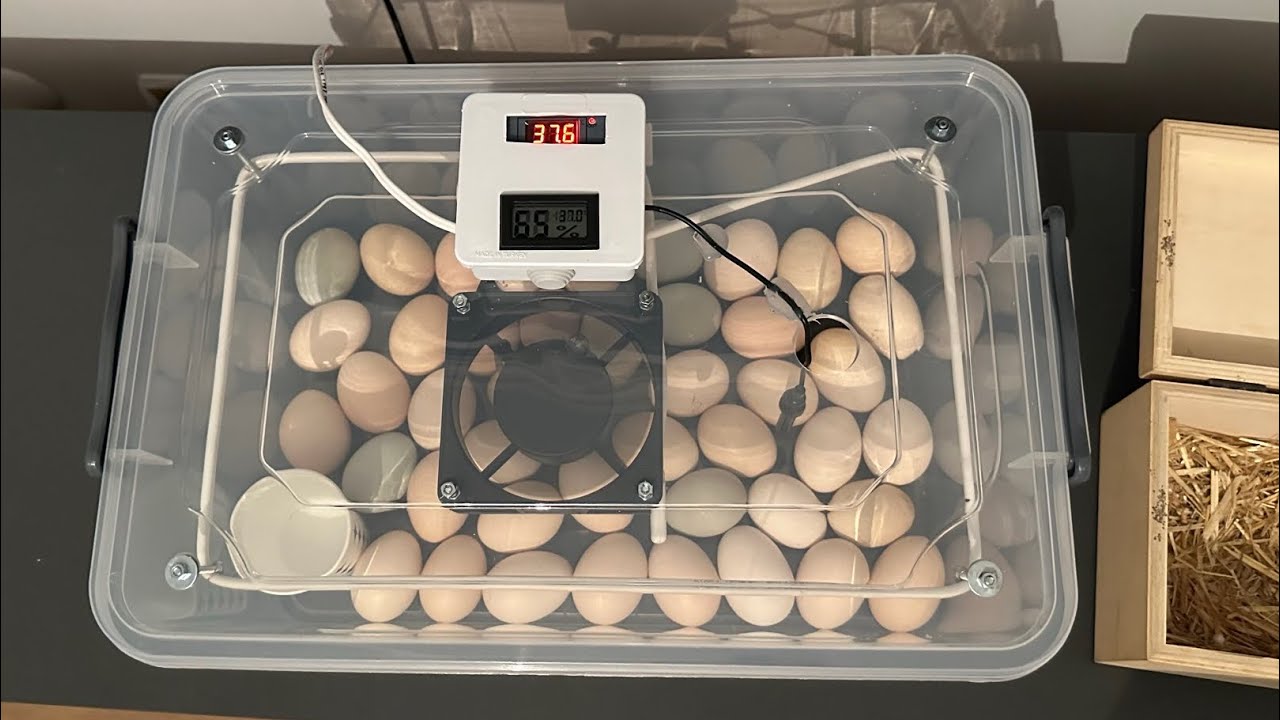 El Yapımı Kuluçka Makinesi