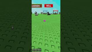 He May Be Small But He Still Steals Your Fruit