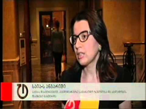 ელენე ნიჟარაძის კომენტარი \"საიას\" წინასაარჩევნო გარემოს ანგარიშზე
